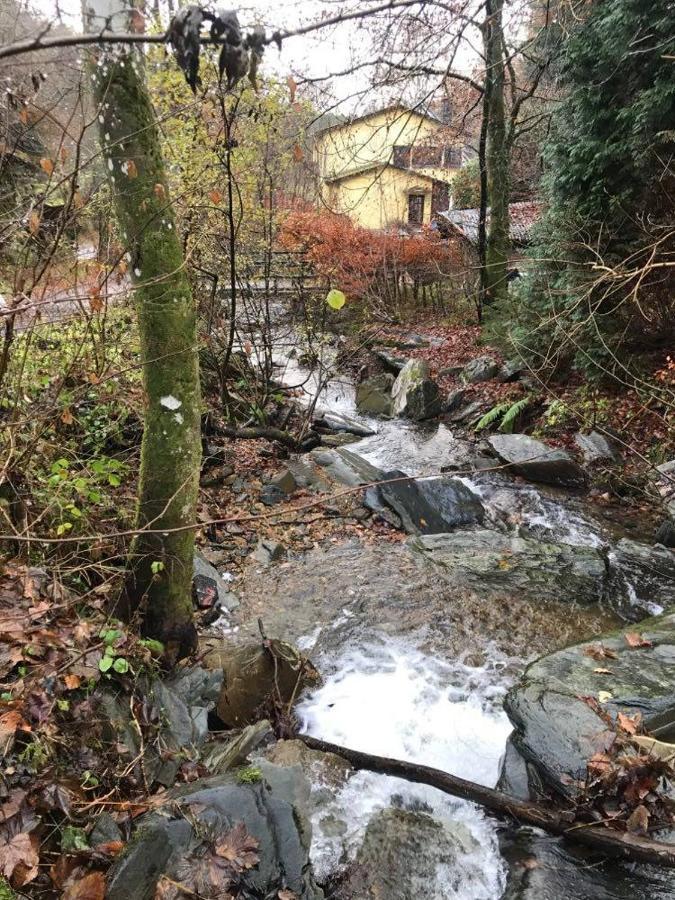 Rivendell 9 Villa Monschau Luaran gambar
