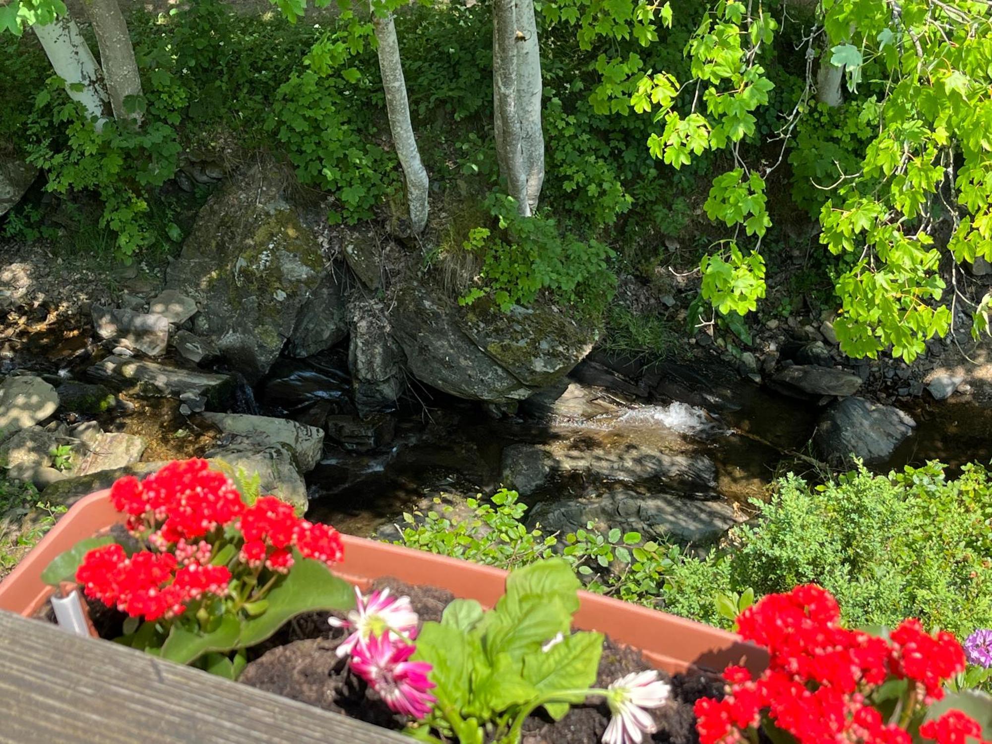 Rivendell 9 Villa Monschau Luaran gambar